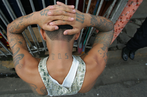 Mara Salvatrucha gang member MS-13 gang member arrested in El Salvador. Photo: Luis Sinco/Los Angeles Times