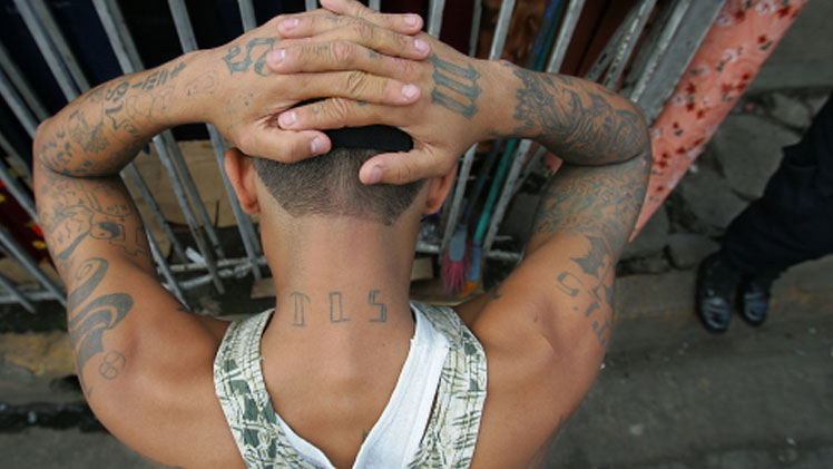 Mara Salvatrucha gang member