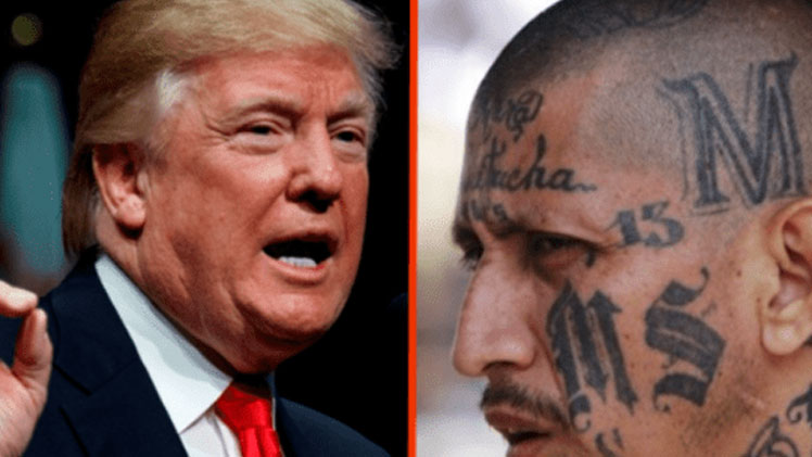 Trump/MS 13